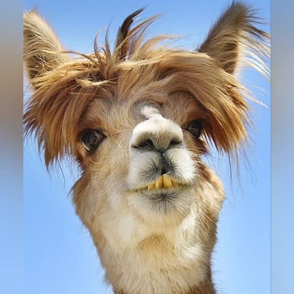 Got Box! Need Label? - Picture 3 of 3